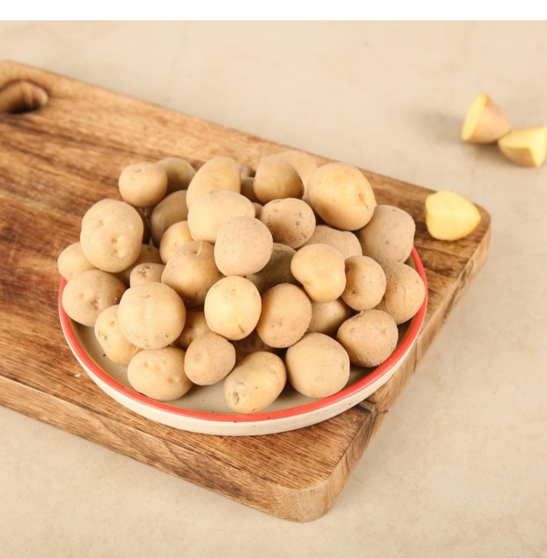 WhatsApp Image 2025-05-18 at 10.36.10 AM