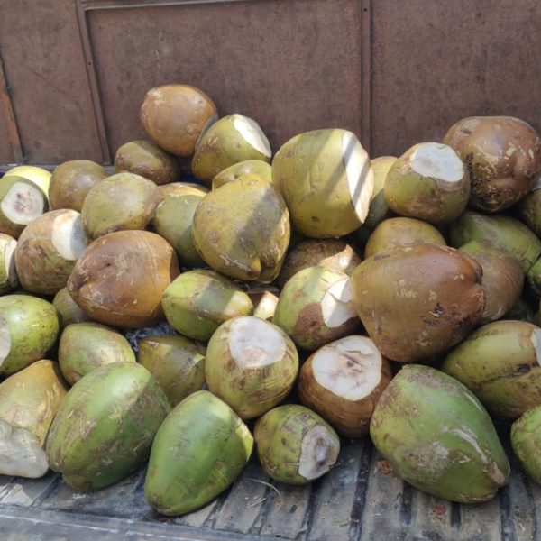 Coconut(1Kg)