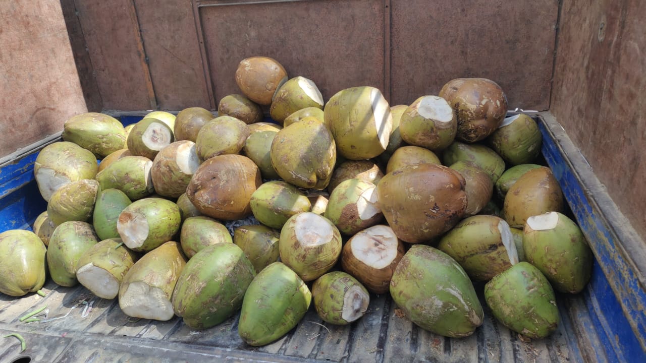 WhatsApp Image 2025-05-18 at 10.36.12 AM